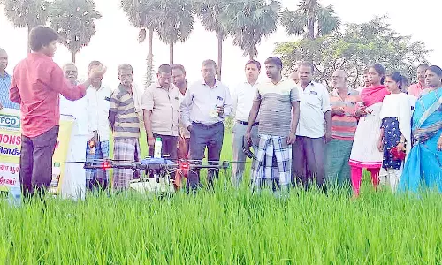 நானோ யூரியா தெளிப்பு குறித்து விவசாயிகளுக்கு செயல்முறை விளக்கம்