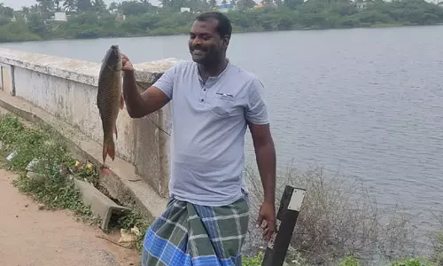 மழைவெள்ளத்தால் ஆரணி ஆற்றில் சிக்கும் பெரியவகை மீன்கள்