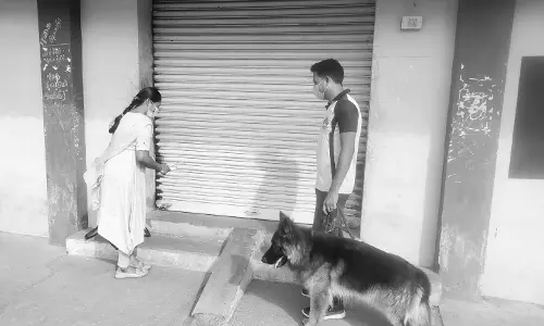 ஒழுங்குமுறை விற்பனை கூடத்தில் எள் மூட்டை மாயம்