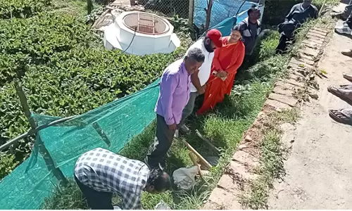 நடைபாதை அமைக்க பூமி பூஜை