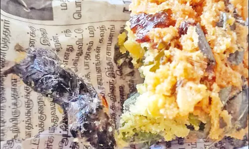 டீக்கடையில் வாங்கிய பருப்பு வடைக்குள் சுண்டெலி