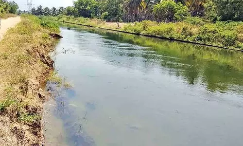 பி.ஏ.பி., 3-ம் மண்டல பாசனத்துக்கு  28-ந்தேதி  தண்ணீர் திறக்க வேண்டும் -  விவசாயிகள் வலியுறுத்தல்
