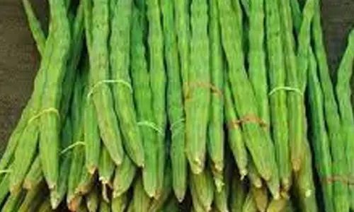 முருங்கைக்காய்  விலை கிடுகிடு  உயர்வு