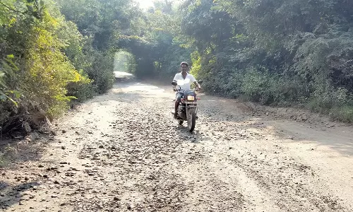 பல ஆண்டுகளாக சீர்குலைந்து காணப்படும் வன சாலைகள்