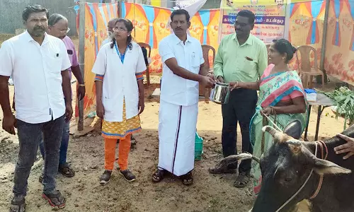 உடன்குடி வீரவாகுபுரத்தில்  கால்நடை சிறப்பு முகாம்