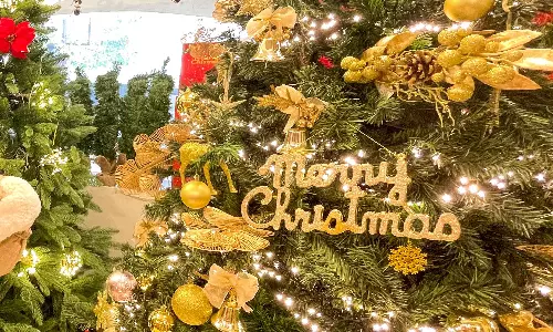 புத்தாண்டை வரவேற்க தயாராகும் புதுவை- களைகட்டிய கிறிஸ்துமஸ் கொண்டாட்டம்