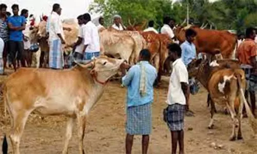 பொய்கை சந்தையில் ரூ.1 கோடிக்கு கால்நடைகள் விற்பனை