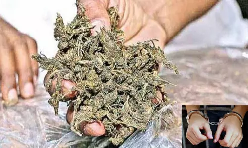 கஞ்சா விற்ற வாலிபர் குண்டர் சட்டத்தில் கைது