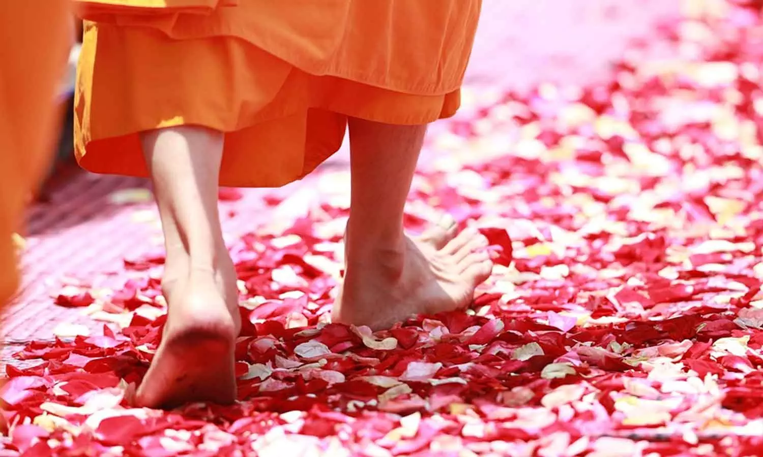 நடந்து பாருங்கள்... அப்புறம் தெரியும்! நடந்து பாருங்கள்... அப்புறம் தெரியும்!