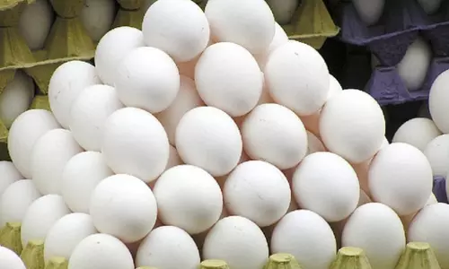 கிறிஸ்துமஸ், புத்தாண்டையொட்டி தேவை அதிகரிப்பு- முட்டை விலை மேலும் 10 காசுகள் உயர்வு