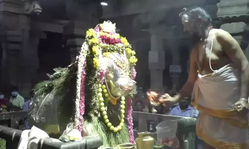 கல்யாண பசுபதீஸ்வரர் கோவிலில் பிரதோஷ விழா