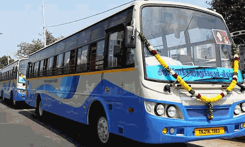 துவாக்குடி பகுதிக்கு கூடுதல்  பஸ்கள் இயக்க கோரிக்கை