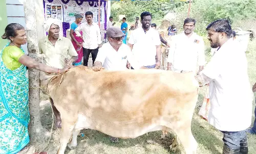 கால்நடை சுகாதார விழிப்புணர்வு முகாம்