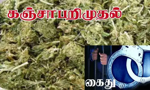 ஆந்திராவில் இருந்து கஞ்சா கடத்தி வந்த 2 வாலிபர்கள் கைது