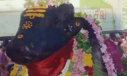 சிவன் கோவில்களில் பிரதோஷ வழிபாடு