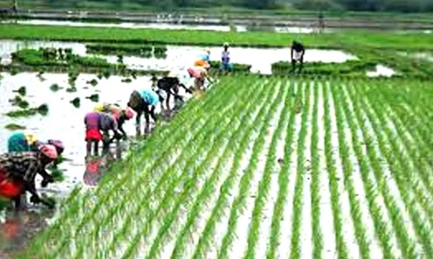 பல்லடம் அருகே வேளாண் தொழில்  குறித்த கருத்தரங்கம்