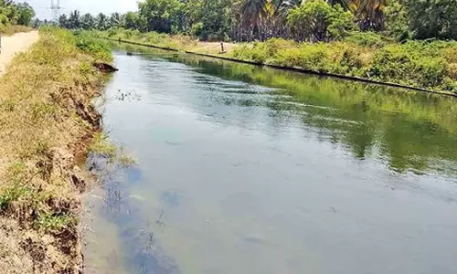 பி.ஏ.பி. மூன்றாம்   மண்டல பாசனத்திற்காக   பல்லடம் விரிவாக்க பகுதி வாய்க்கால்களை  தூர்வார வேண்டும் - கிராம நீரினை பயன்படுத்தும் விவசாயிகள் சங்கம் வலியுறுத்தல்