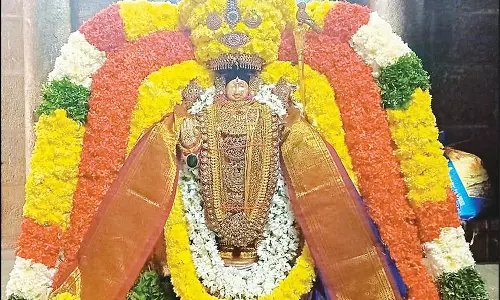 திருவந்திபுரம் தேவநாத சுவாமி கோவிலில் பகல் பத்து உற்சவம் தொடங்கியது