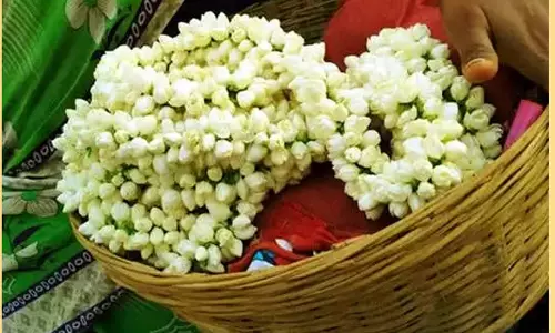 மல்லிகை பூக்கள் ரூ.2,500-க்கு விற்பனை