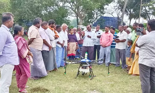 ட்ரோன் மூலம் நானோ யூரியா தெளிப்பது குறித்து செயல் விளக்கம்