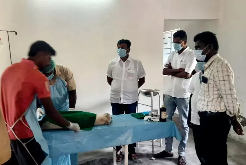 புகழூர் நகராட்சி பகுதிகளில் சுற்றித்திரியும் தெரு நாய்களுக்கு கருத்தடை அறுவை சிகிச்சை புகழூர் நகராட்சி பகுதிகளில் சுற்றித்திரியும் தெரு நாய்களுக்கு கருத்தடை அறுவை சிகிச்சை