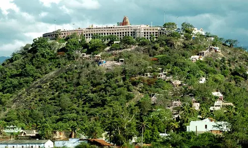 விடுமுறைநாளையொட்டி  பழனியில் அலைமோதிய பக்தர்கள் கூட்டம் நீண்ட வரிசையில் காத்திருந்து சாமி தரிசனம்