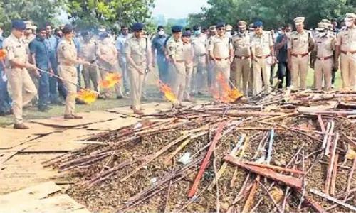 ஆந்திராவில் ரூ.240 கோடி மதிப்பிலான கஞ்சா தீ வைத்து எரிப்பு