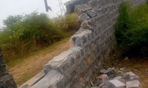 பவர் கிரிட் அலுவலக சுவரை உடைத்து யானைகள் அட்டகாசம்