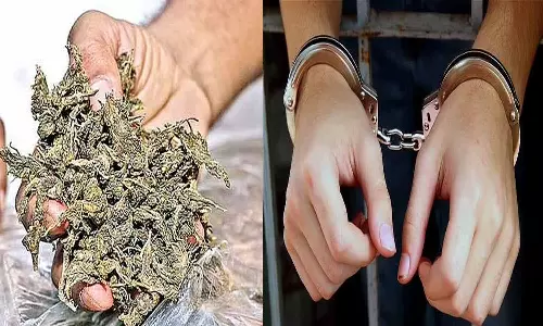 கஞ்சா விற்ற வாலிபர் கைது