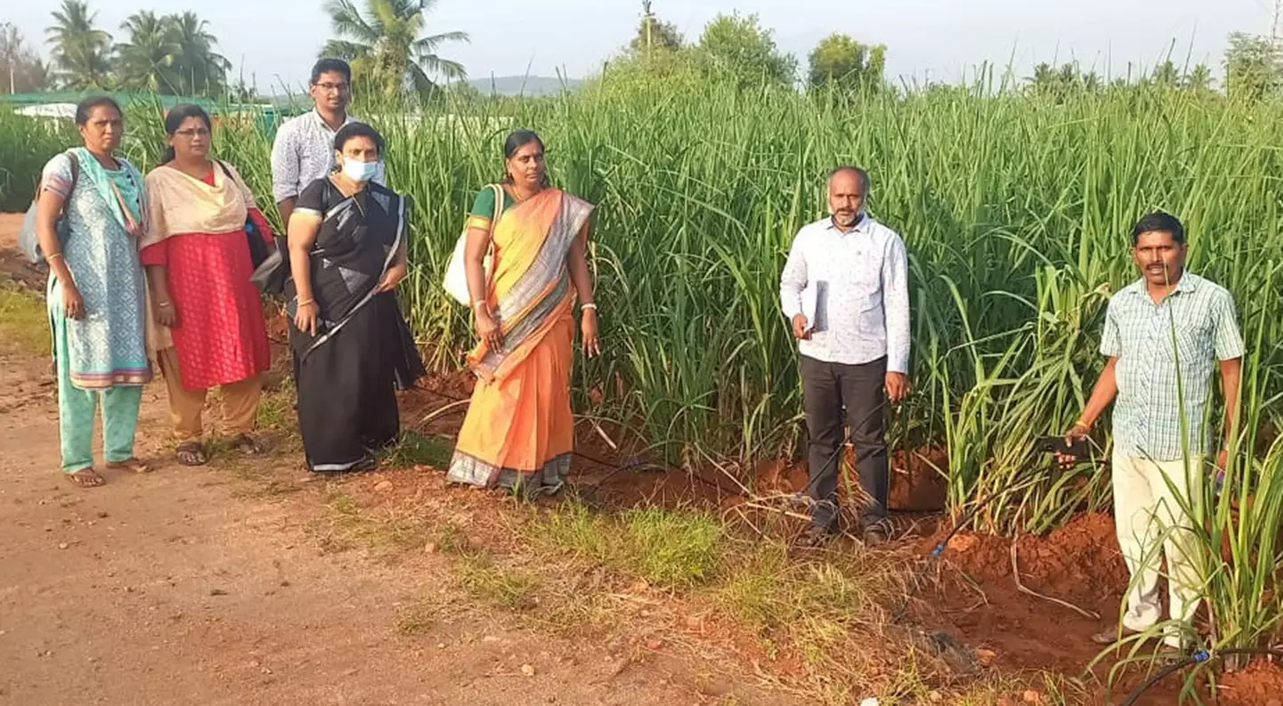 பாசன திட்டப்பணிகள் அதிகாரி நேரில் ஆய்வு பாசன திட்டப்பணிகள் அதிகாரி நேரில் ஆய்வு