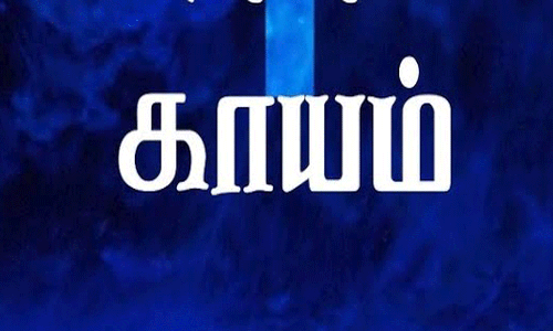 பழனி மலை யானைப்பாதையில் கற்கள் விழுந்து 4 பேர் காயம்