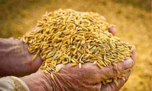 விவசாயிகள் கூடுதல் லாபம் பெறலாம்