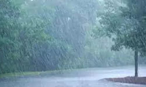 சேலம் மாவட்டம் முழுவதும் பரவலாக மழை  ஏற்காட்டில் 29.6 மி.மீ பதிவு