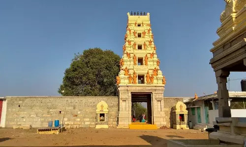சேவூர் வாலீஸ்வரர் கோவிலில் 6-ந்தேதி ஆருத்ரா தரிசனம்