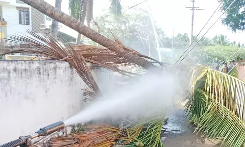 சுசீந்திரம் அருகே தென்னை மரம் முறிந்து தீ விபத்து