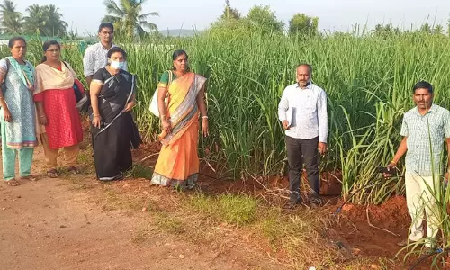 பாசன திட்டப்பணிகள் அதிகாரி நேரில் ஆய்வு