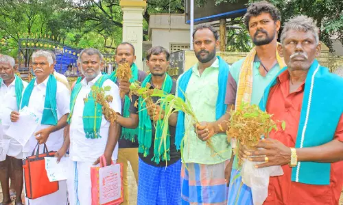 நெல்லை கலெக்டர் அலுவலகத்திற்கு அழுகிய பயிர்களுடன் மனு கொடுக்க வந்த விவசாயிகள்