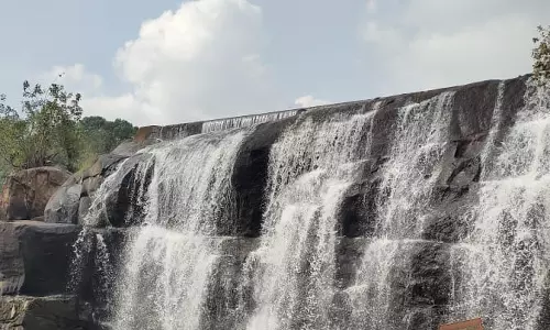 திற்பரப்பில் குளித்து மகிழ்ந்த சுற்றுலா பயணிகள்