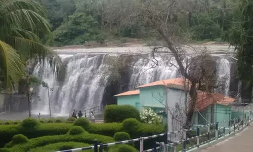 குமரியில் மழை நீடிப்பு- திற்பரப்பில் குளித்து மகிழ்ந்த சுற்றுலா பயணிகள்