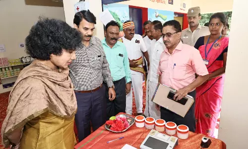 திருமயம் வட்டத்தில் நியாயவிலை கடைகளில் கலெக்டர் ஆய்வு