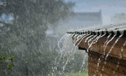 கோத்தகிரியில் பலத்த மழைக்கு வீடு இடிந்தது