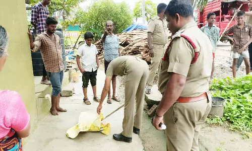வீட்டுக்குள் நுழைய முயன்ற 5 அடி நீள பாம்பு