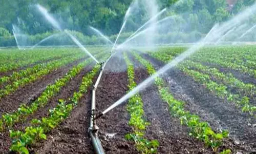 75 சதவீதம் மானியத்தில் சொட்டு நீர் பாசனம்