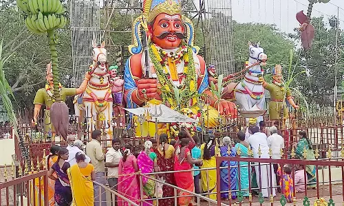பென்னாகரம் அருகே முனியப்பன் கோவில் திருவிழா