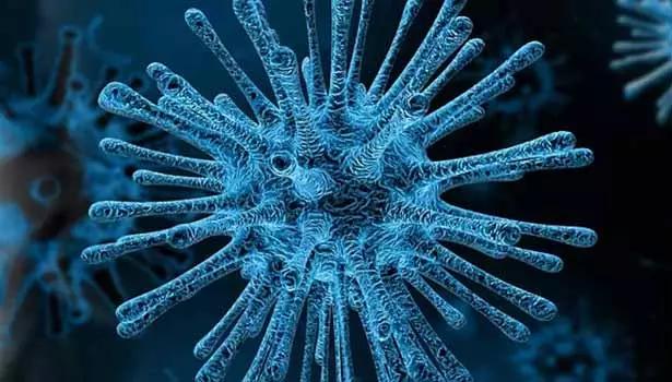 துபாயில் இருந்து சென்னை வந்த 2 பேருக்கு கொரோனா கண்டுபிடிப்பு- புதியவகை வைரஸ் பாதிப்பா என்று ஆய்வு துபாயில் இருந்து சென்னை வந்த 2 பேருக்கு கொரோனா கண்டுபிடிப்பு- புதியவகை வைரஸ் பாதிப்பா என்று ஆய்வு