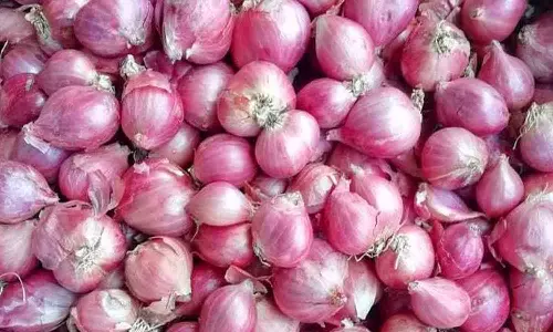 காங்கயம் வாரச்சந்தையில் சின்ன வெங்காயம் கிலோ ரூ.50க்கு  விற்பனை