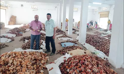 ஆனைமலையில் 217 குவிண்டால் கொப்பரை ரூ.15.43 லட்சத்துக்கு ஏலம்