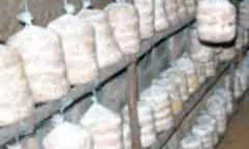 கிராம ஒருங்கிணைந்த வேளாண் வளர்ச்சித் திட்டத்தின் கீழ் காளான் குடில் அமைக்க ஒரு லட்சம் மானியம்-விவசாயிகளுக்கு தோட்டக்கலை துணை இயக்குநர் அழைப்பு