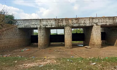 உடன்குடி வட்டார பகுதியில் வறண்டு காணப்படும் 15 குளங்கள்- இந்த ஆண்டு தண்ணீர் வருமா? விவசாயிகள் ஏக்கம்