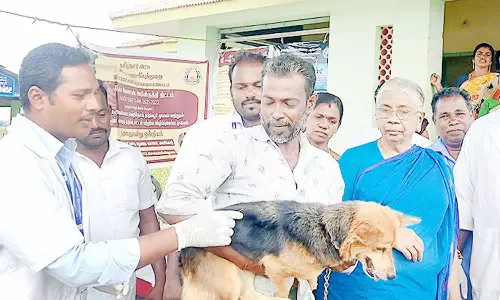 வெறிநாய் தடுப்பூசி முகாம்